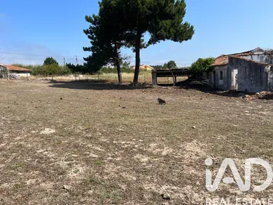 Terreno misto em Serra do Bouro