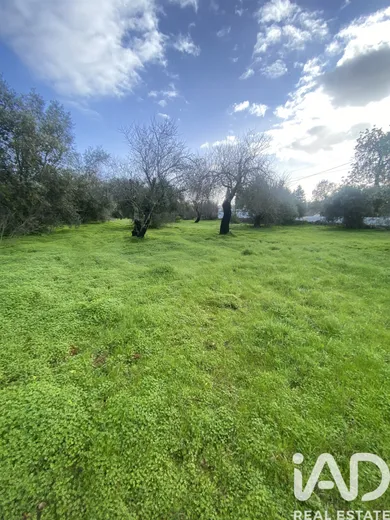 Farm land  in São Brás de Alportel