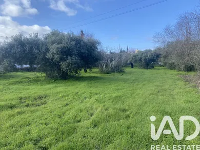 Farm land  in São Brás de Alportel