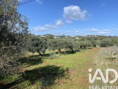 Terreno rústico  em São Brás de Alportel