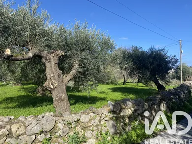 Terreno rústico em São Brás de Alportel