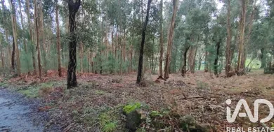 Terreno rústico  em Viana do Castelo