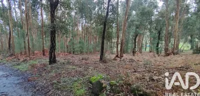 Fotografia 6 de Terreno de 3290 m² em Monção