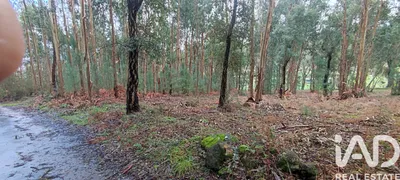 Fotografia 3 de Terreno rústico de 1240 m² em Viana do Castelo