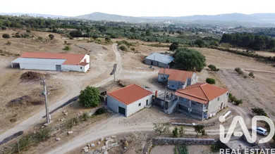 Quinta agrícola em Celorico da Beira