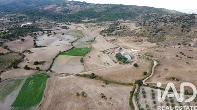 Quinta agrícola em Celorico da Beira