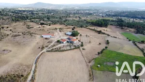 Quinta agrícola  em Celorico da Beira