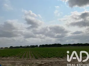 Farm land  in Pegões