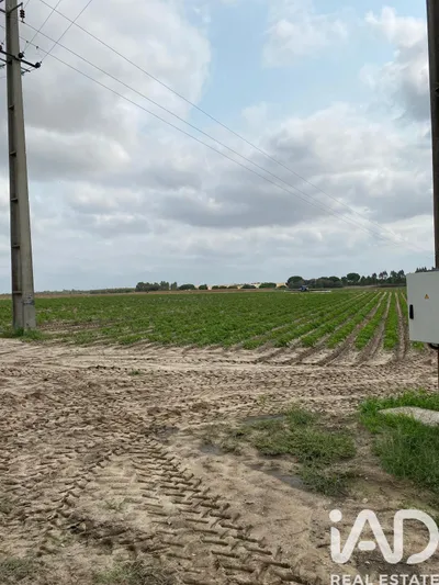 Fotografia 5 de Terreno urbano de 602 m² em Santo Isidro de Pegões