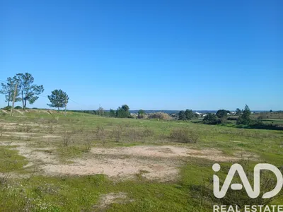 Fotografia 7 de Terreno rústico de 7400 m² em Almeirim