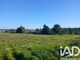 Terreno rústico em Fazendas de Almeirim