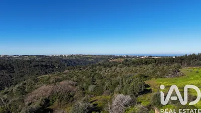 Fotografia 3 de Terreno rústico de 29 749 m² em Mafra