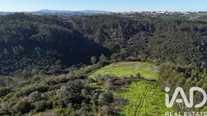 Farm land in Mafra