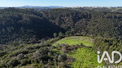 Fotografia 8 de Terreno rústico de 8625 m² em Mafra
