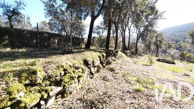 Terreno  em Bravo
