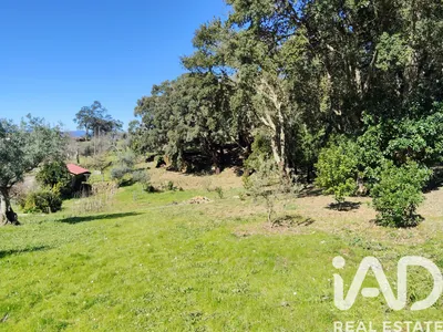 Fotografia 3 de Terreno de 3300 m² em Bravo