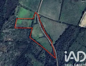 Terreno rústico em Igreja Nova