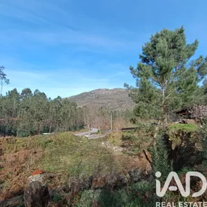 Building plot in Sopo