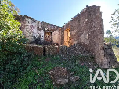 Terreno misto  em São Bartolomeu de Messines