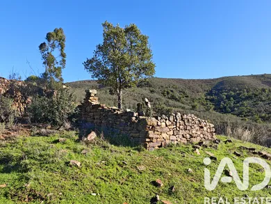 Terreno misto em São Bartolomeu de Messines