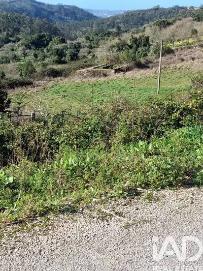 Fotografia 3 de Terreno misto de 18 800 m² em Turquel