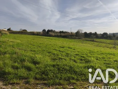 Terreno rústico  em Cela