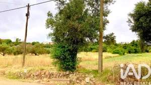 Terreno rústico em São Brás de Alportel