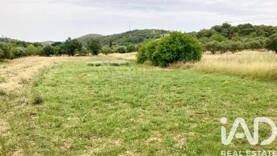Farm land  in São Brás de Alportel