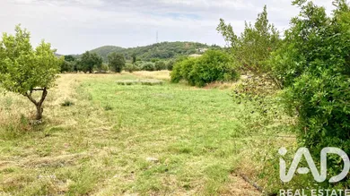 Farm land  in São Brás de Alportel