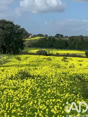 Farm land in Palmela