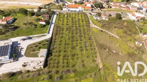 Terreno urbano  em Carvalhal