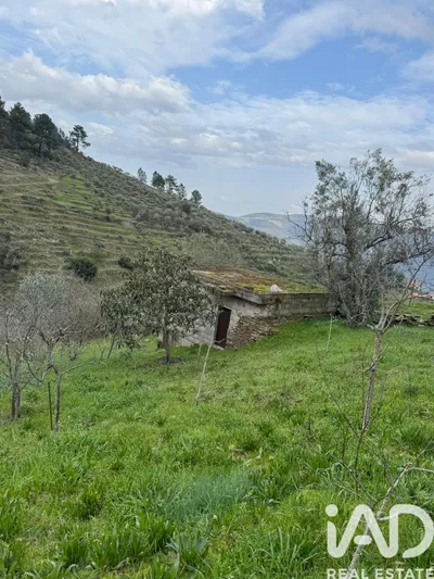 Fotografia 4 de Terreno rústico de 1000 m² em Tabuaço