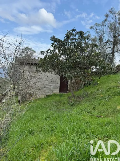 Terreno rústico  em Tabuaço