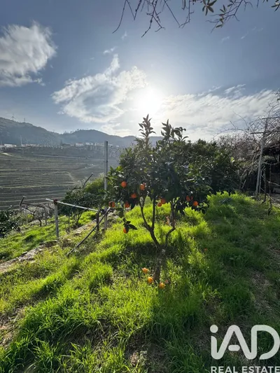 Fotografia 1 de Terreno rústico de 1000 m² em Tabuaço