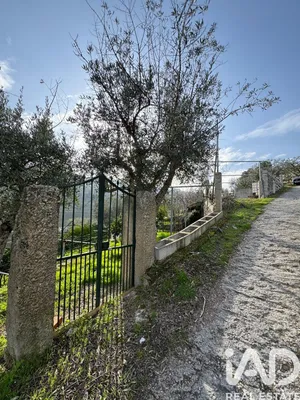 Terreno rústico  em Tabuaço