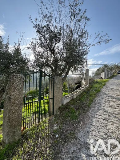 Terreno rústico  em Tabuaço