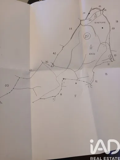 Domaine  à serrinho da corte pereiraserrinho da corte pereira