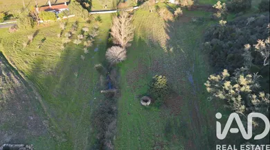 Herdade em serrinho da corte pereiraserrinho da corte pereira