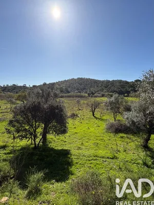 Farm land in Castro Marim