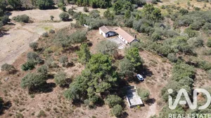 Quinta em Açores - Celorico da Beira