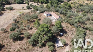 Quinta  em Açores - Celorico da Beira