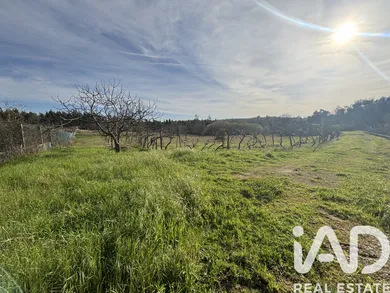 Farm land  in Coimbra