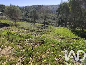 Terreno rústico  em Mafra