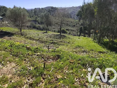 Terreno rústico  em Mafra