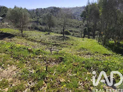 Fotografia 9 de Terreno urbano de 7242 m² em Mafra