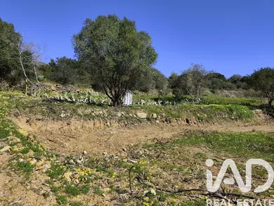Terreno rústico em Mafra