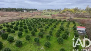 Farm land  in Ervedal da beira