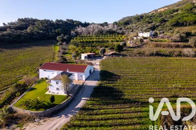Farm  in Setúbal