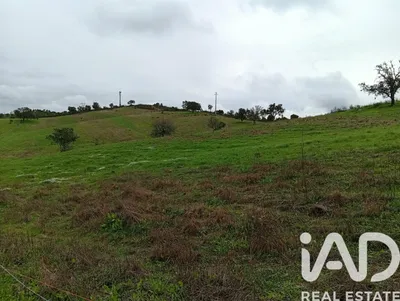 Fotografia 6 de Terreno rústico de 3000 m² em Corte Figueira Mendonça