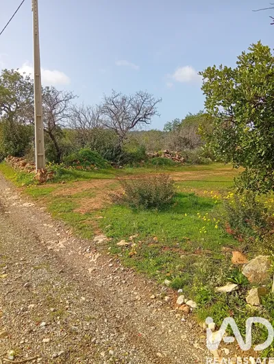 Fotografia 3 de Terreno misto de 22 241 m² em Estoi